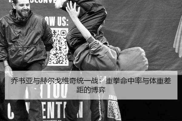 乔书亚与赫尔戈维奇统一战：重拳命中率与体重差距的博弈