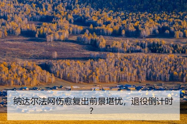na-da-er-fa-wang-shang-yu-fu-chu-qian-jing-kan-you-tui-yi-dao-ji-shi-2-284.jpg