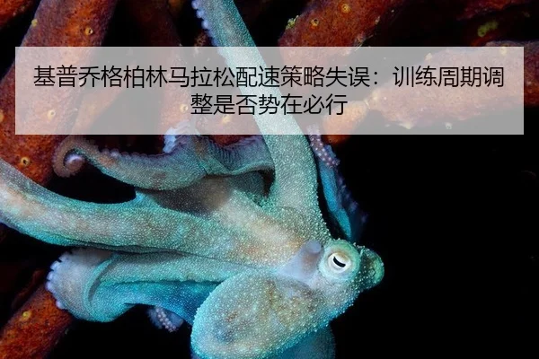 ji-pu-qiao-ge-bo-lin-ma-la-song-pei-su-ce-lve-shi-wu-xun-lian-zhou-qi-tiao-zheng-shi-fou-shi-zai-bi-xing-2-158.jpg